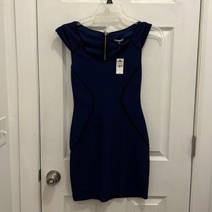 Express cocktail dress